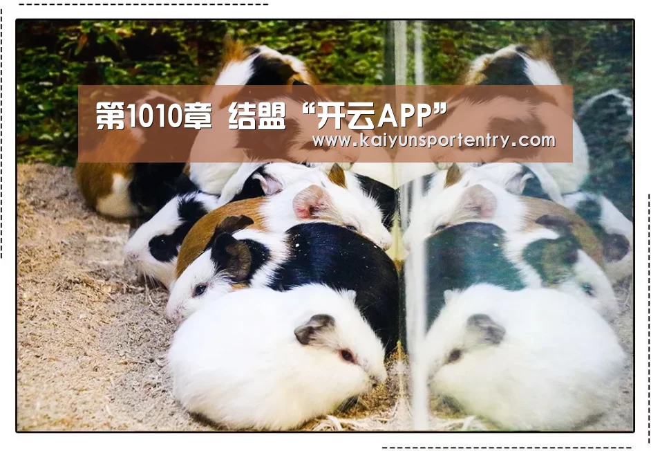 开云推荐