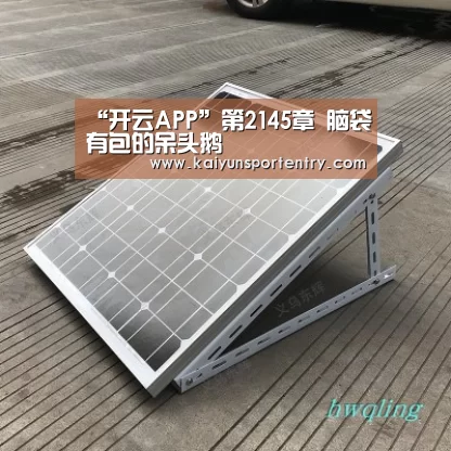 “开云APP”第2145章 脑袋有包的呆头鹅(图4) 开云推荐
