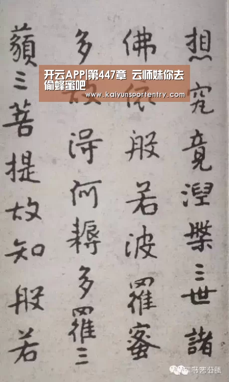 开云入口