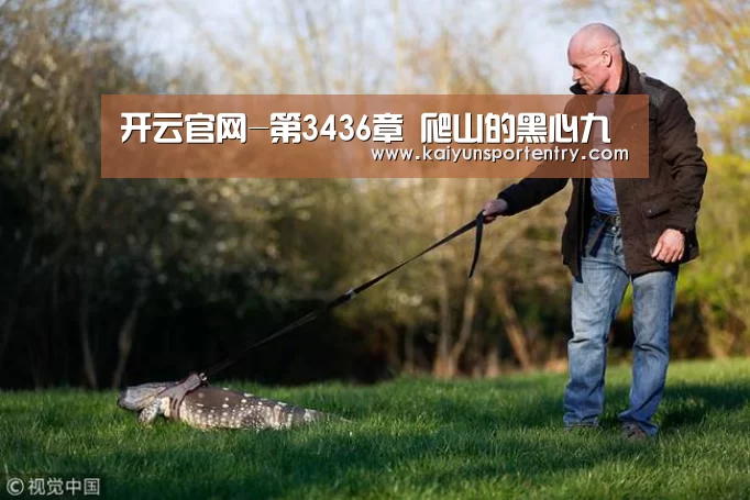开云官网-第3436章 爬山的黑心九(图3) 开云APP