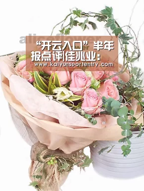 “开云入口”半年报点评|佳兆业:毛利位居行业较高水平 下半年或将迎来业绩爆发(图1) 开云APP